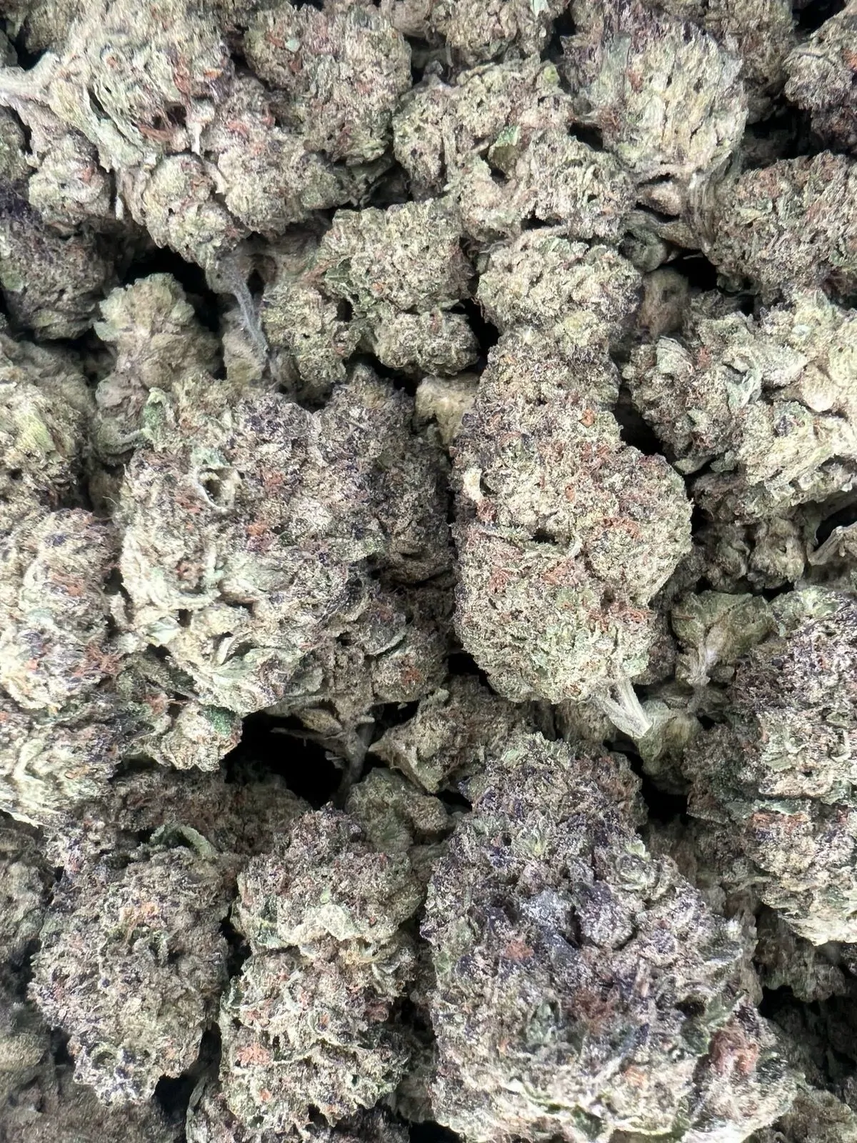 Gary Payton Flower